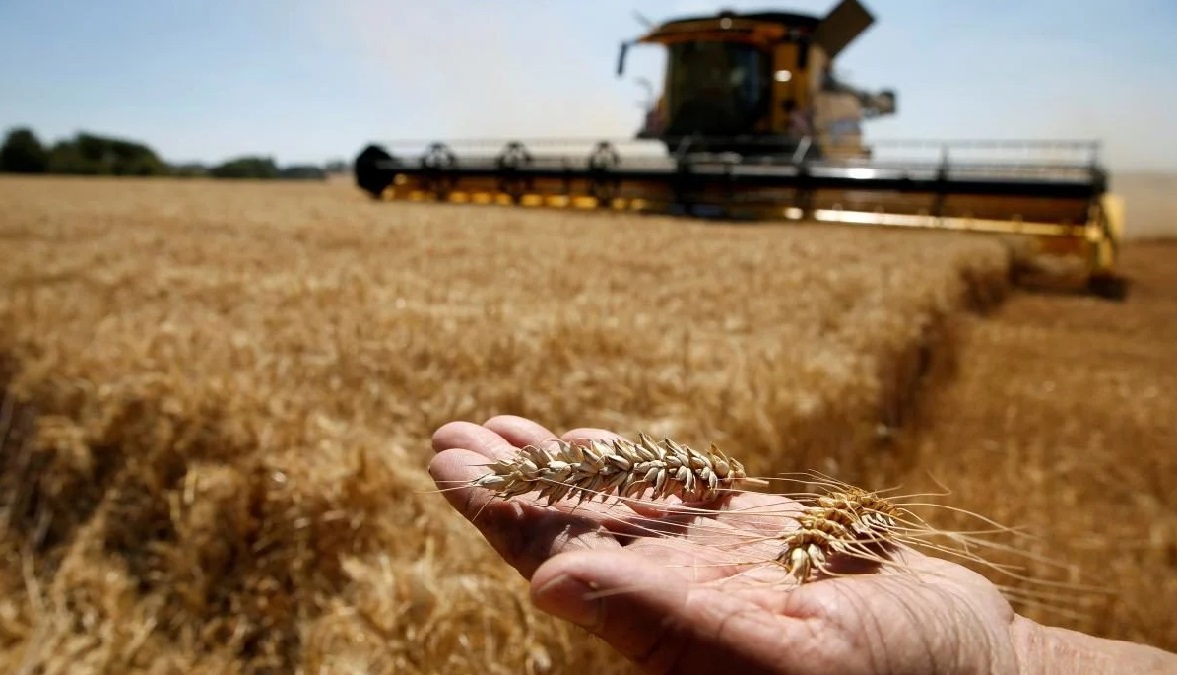 Lauksaimnieks, kurš no kviešu audzēšanas pārgājis uz saules paneļu izmantošanu, tiešraidē stāstīja: „Agrāk es nopelnīju 100 eiro no hektāra, tagad – 1900”.