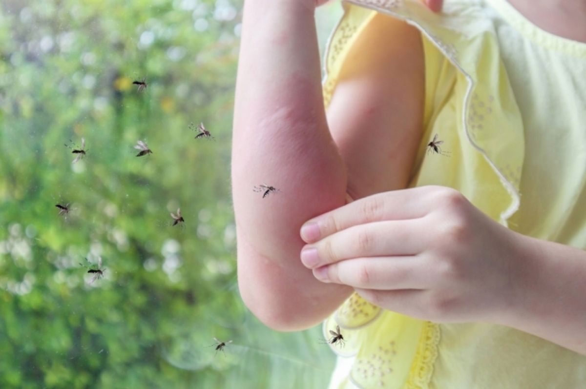 Atvadieties no odiem savā istabā: izmantojiet tualetes papīru, lai tie jūs nekodītu šovasar.