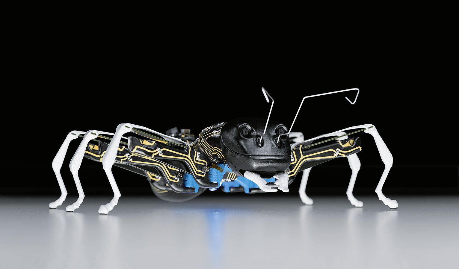 robotu