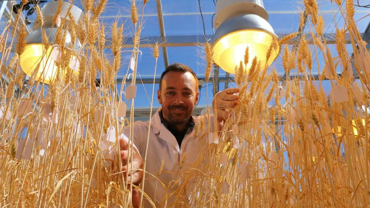 Lauksaimnieks, kurš no kviešu audzēšanas pārgājis uz saules paneļu izmantošanu, tiešraidē stāstīja: „Agrāk es nopelnīju 100 eiro no hektāra, tagad – 1900”.