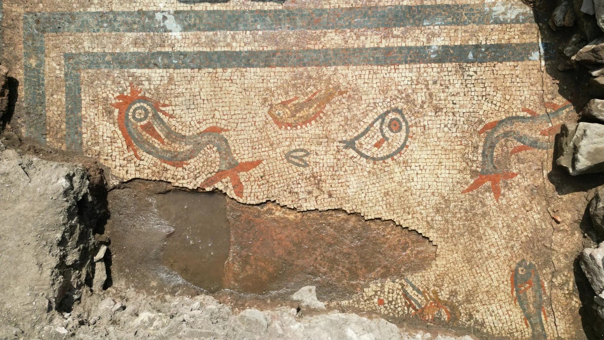 Arheologi nevar noticēt: Latvijā atrastas neskartas romiešu mozaīkas, kas ir “muzeja vērtas”.